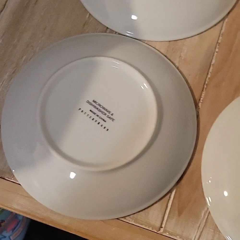 POTTERY BARN Curiosity Plates Midnight Dreary Appetizer SET of  3 6 1/2”